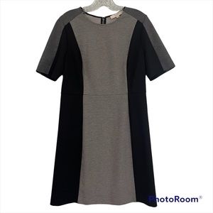 Ann Taylor LOFT size 8 tri toned zipper back dress formal